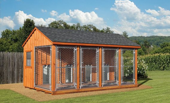 The Importance of Dog Kennels